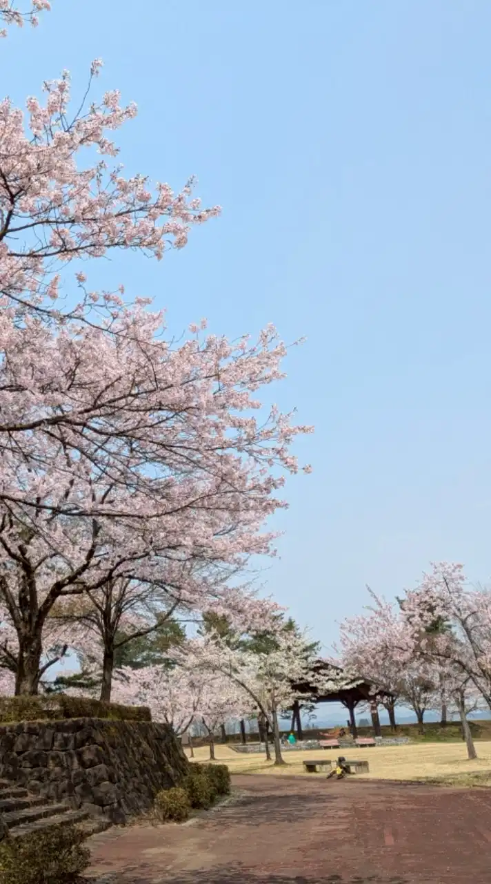 🍀気持ちは若い【50代】🍀