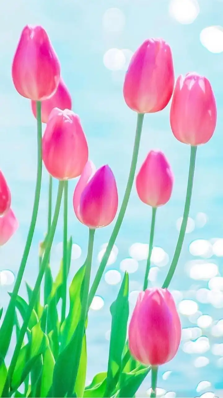 一人暮らし女性限定🌷50代60代