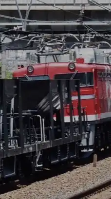 スジ公開！