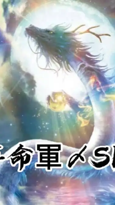 革命軍SKH