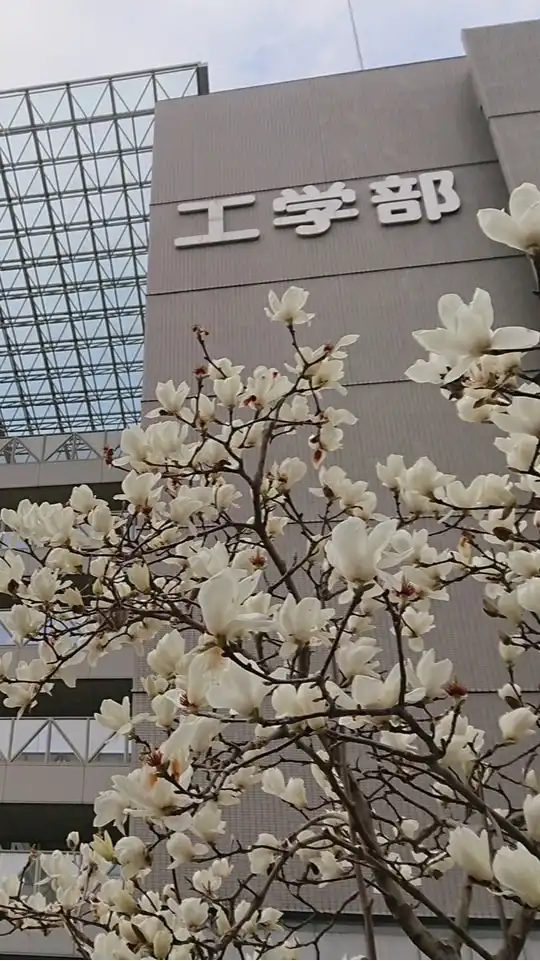 愛媛大学工学部
