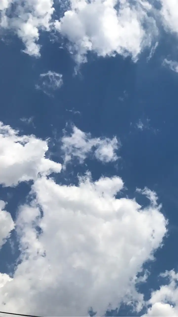 ⚡️雷恐怖症 関東限定