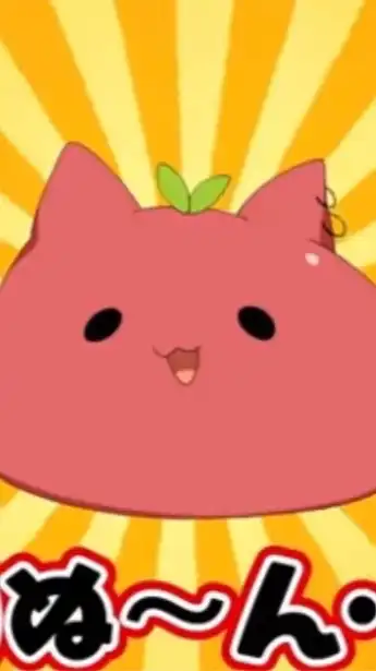 STPRnrkr シェアハ  折 ×