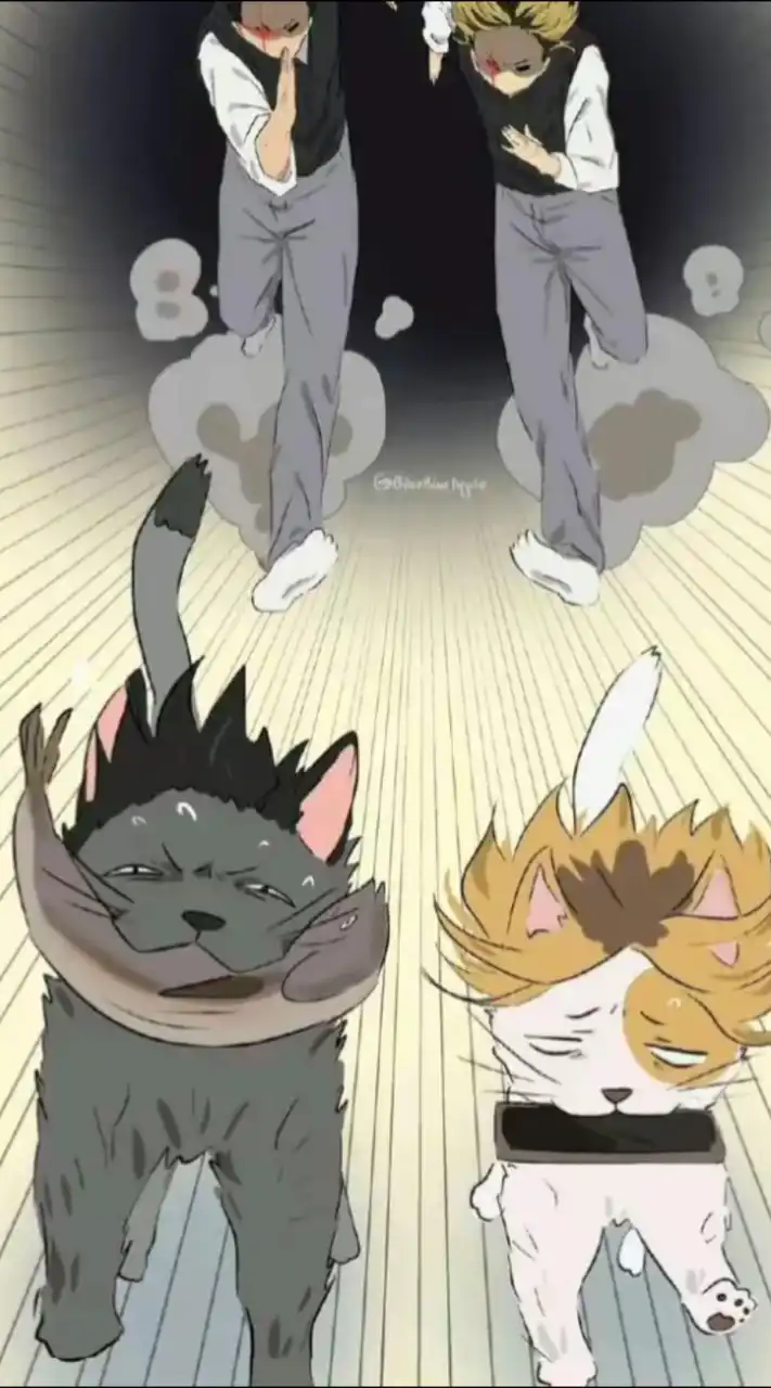 ハイキューキャラ推し集合〜！