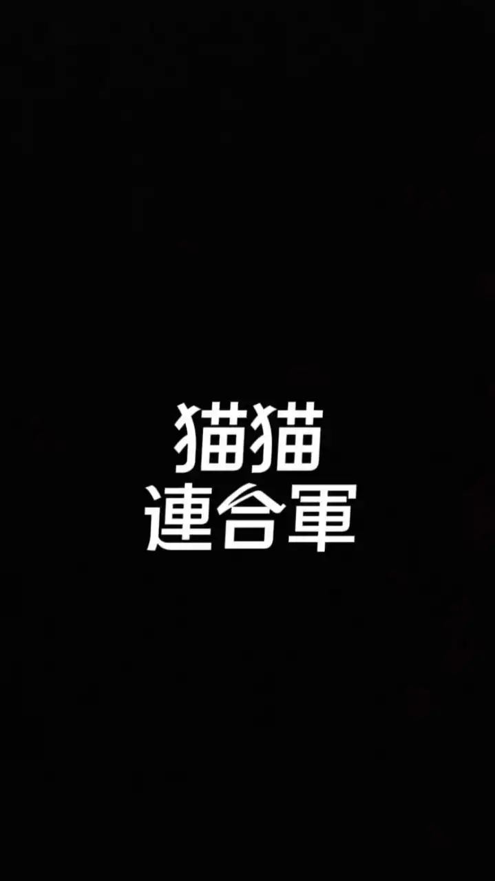 カピバラGo 猫猫連合軍
