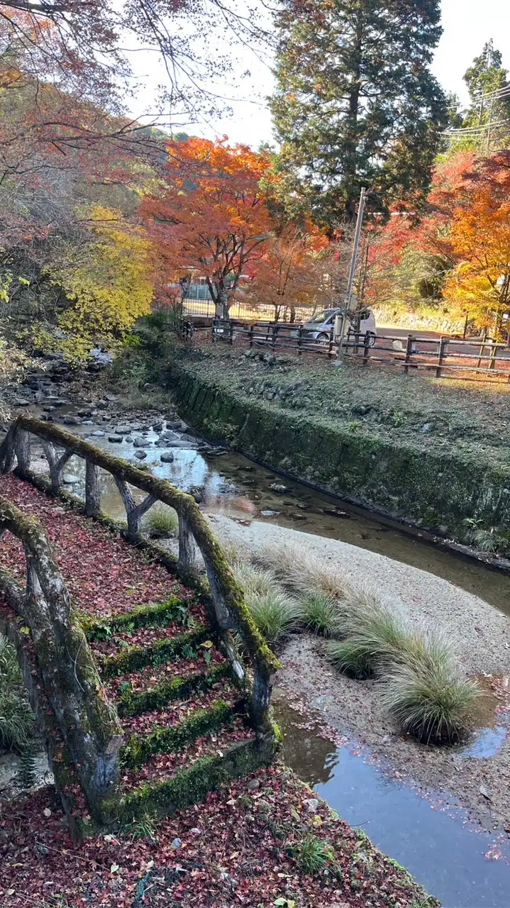 愛知県 尾張地区 40.50代でわいわいたまにランチ