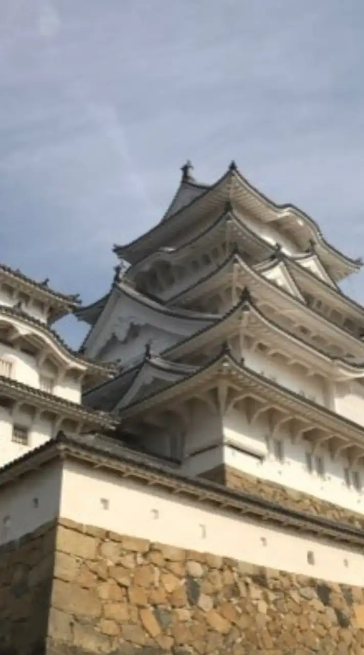 日大文理　中世史研究会　新勧