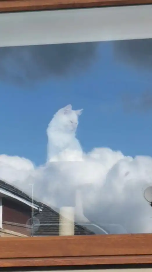 見せ合おうイラスト部