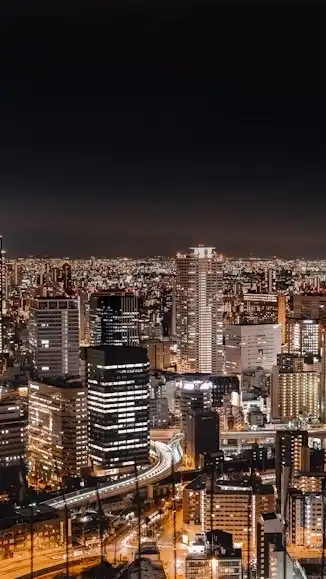 カービィ愛好家2