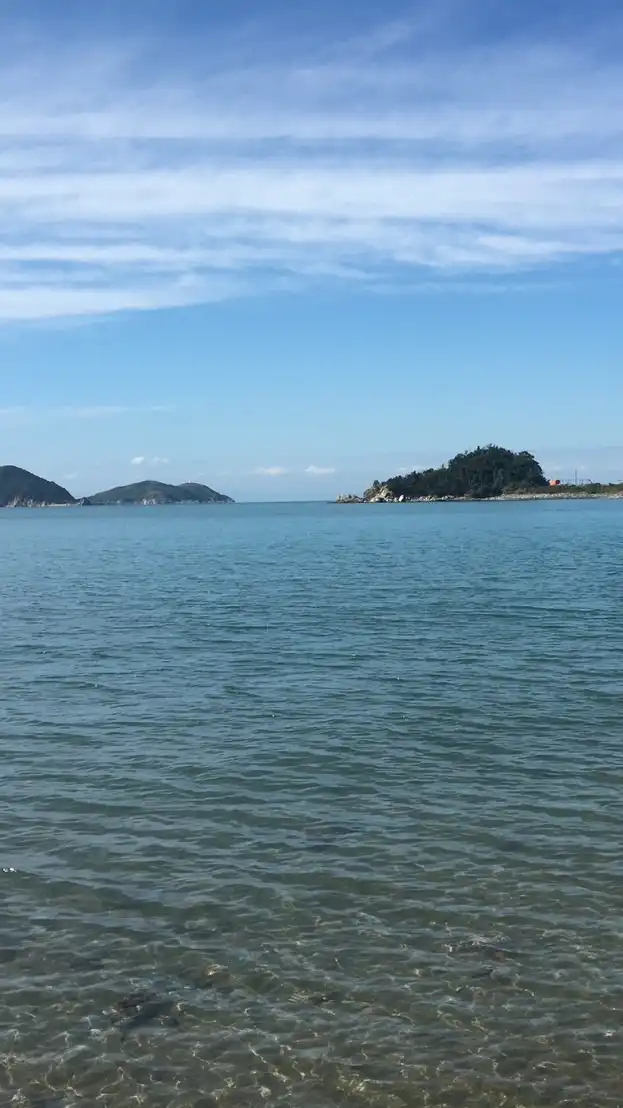 続　精神の手帳を持つつ一般就労　パート3
