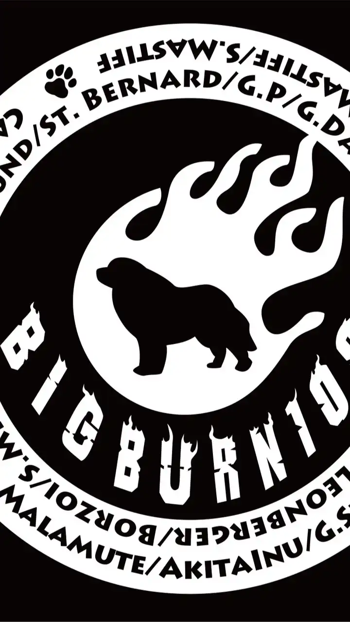 B.B.I大型犬に関しての勉強会