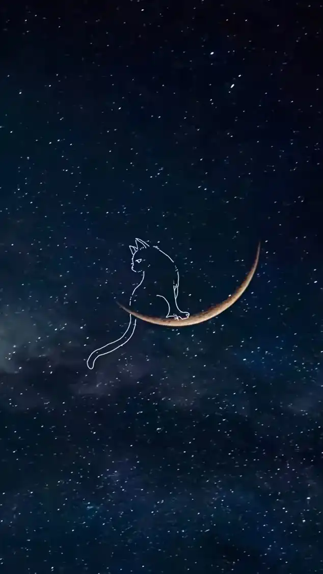 𝙿 𝙸 𝚈 𝙾 𝚃 𝚃 𝙾 🪐 大人の恋バナ ☪︎ 雑談