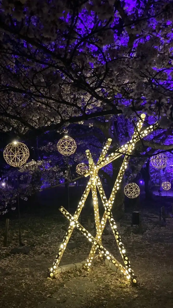 福岡市近郊ゆるーくの会