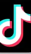 TikTokメンバー募集