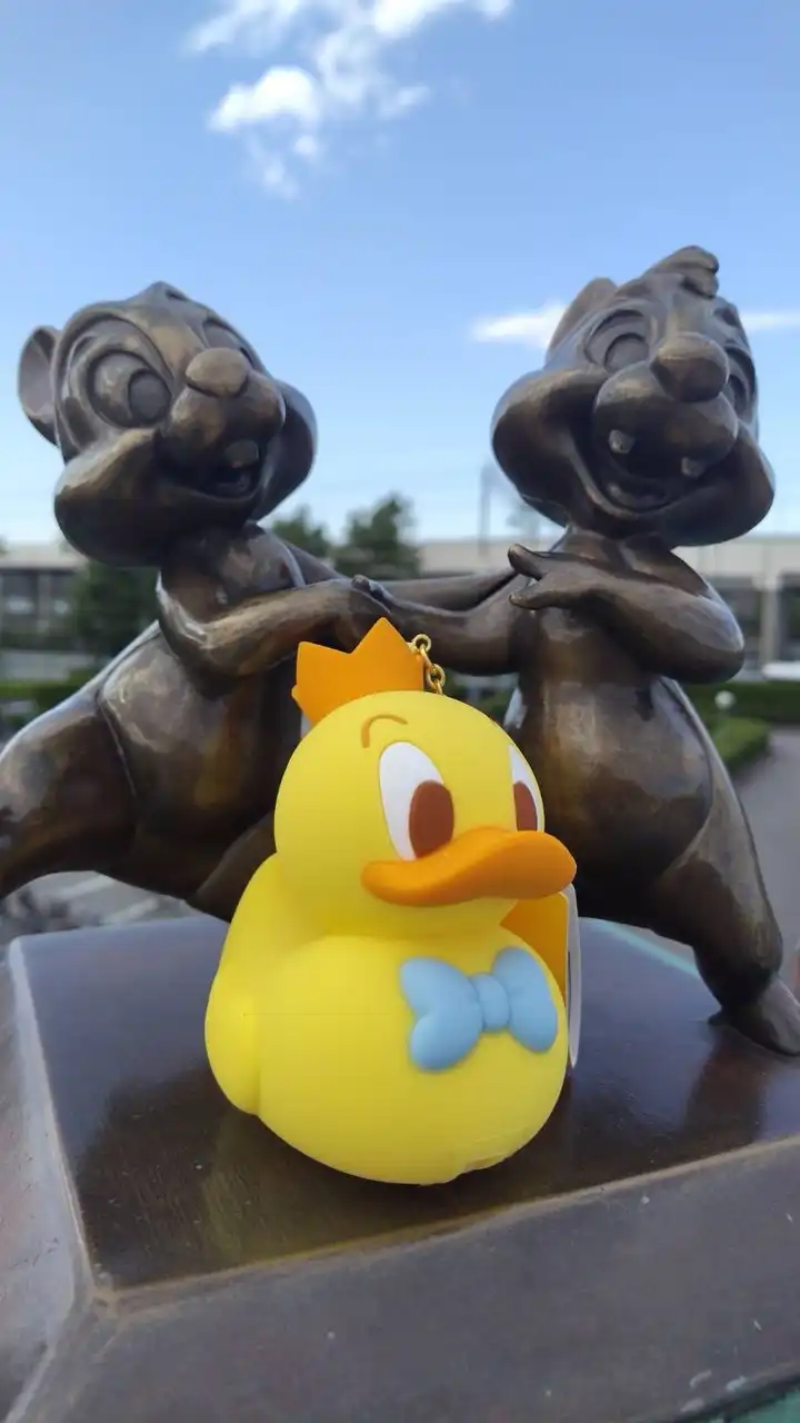🐾大人のディズニー部屋🐾
