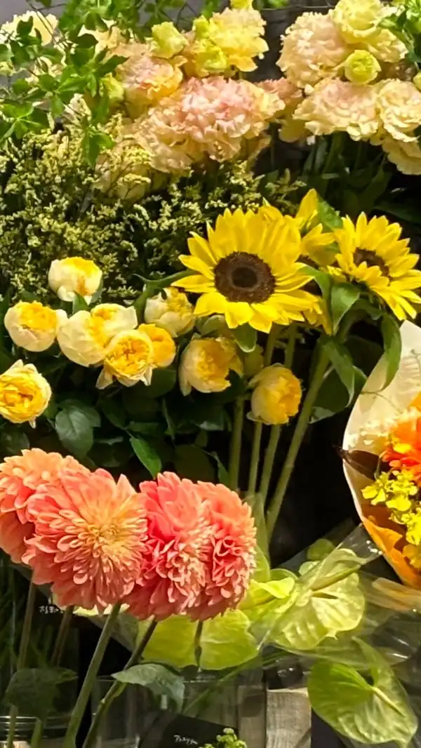 熟年ワケあり50代60代❌アリ💔傷アリさんいらっしゃ〜い