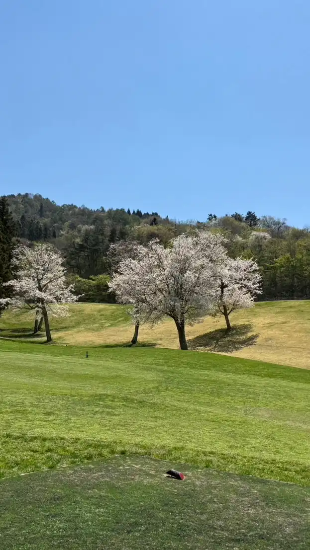 GOGOGOLF since2017 チャット