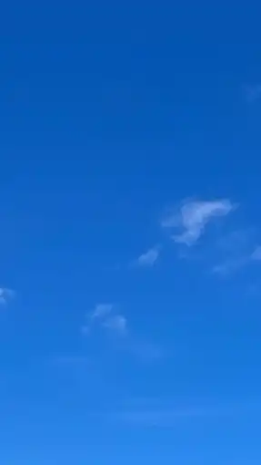 【MARCH】　27卒就活無双