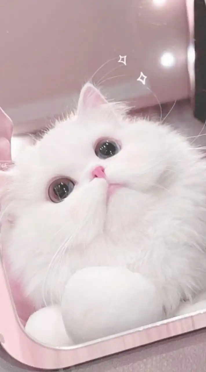 生活音投稿しちゃおー‼️🧏‍♀️💖