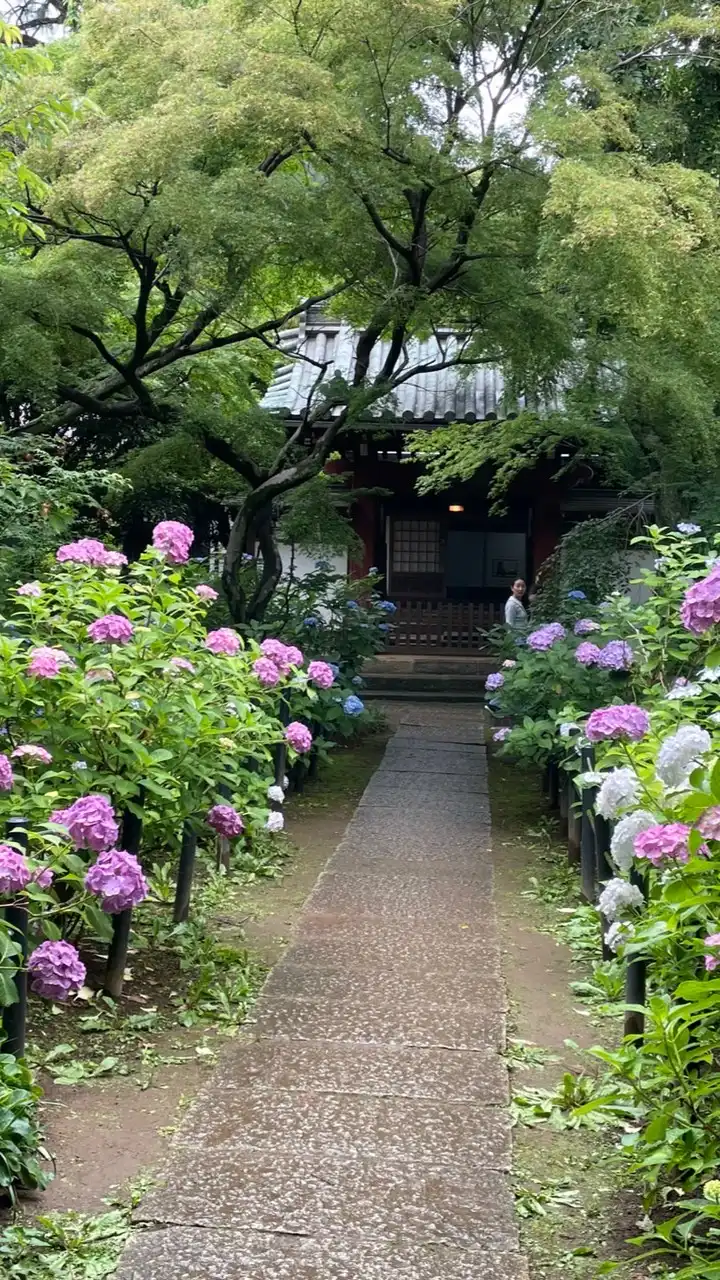 ［関東］神社仏閣・御朱印について語ろう☆