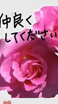 ドライブが観光がしたいから🥀