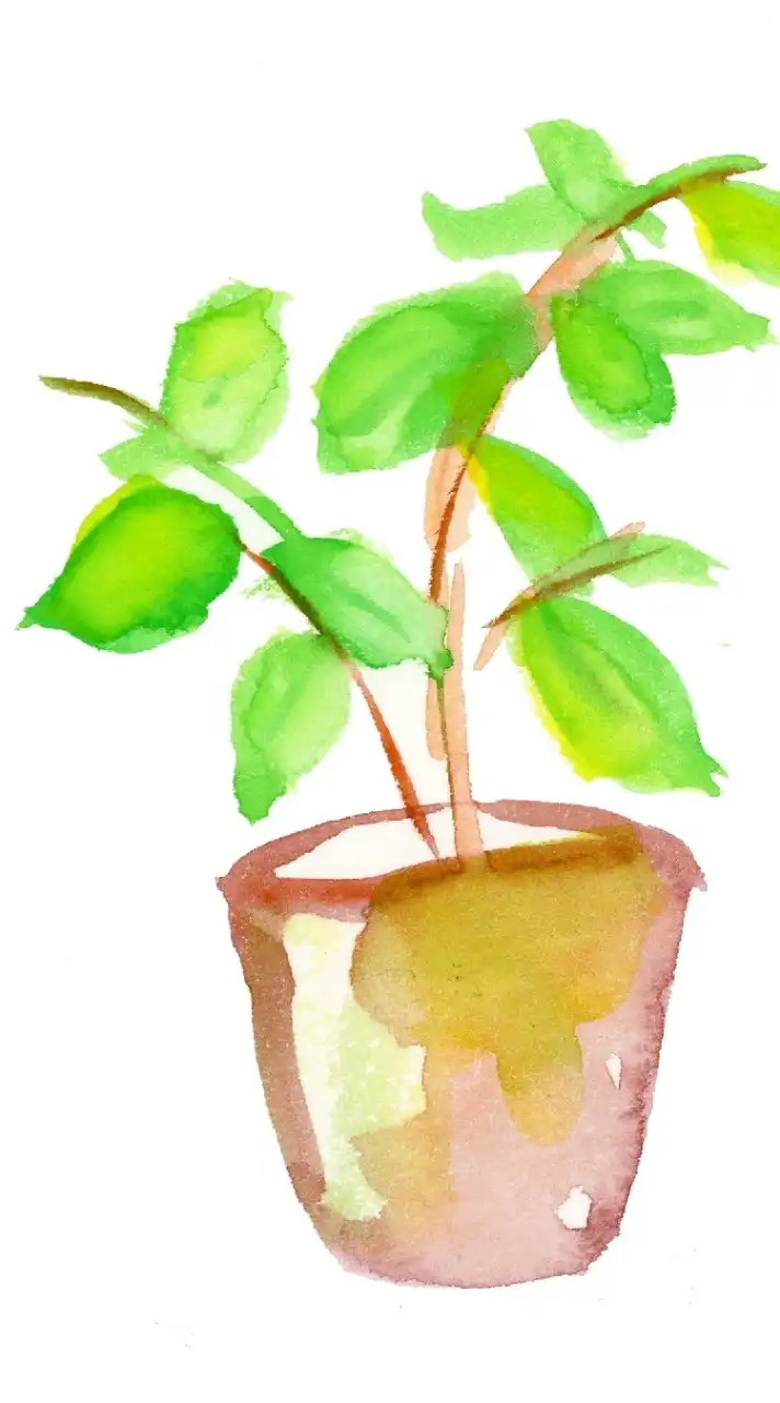 🌿日常の ひとりごと 部屋🌿