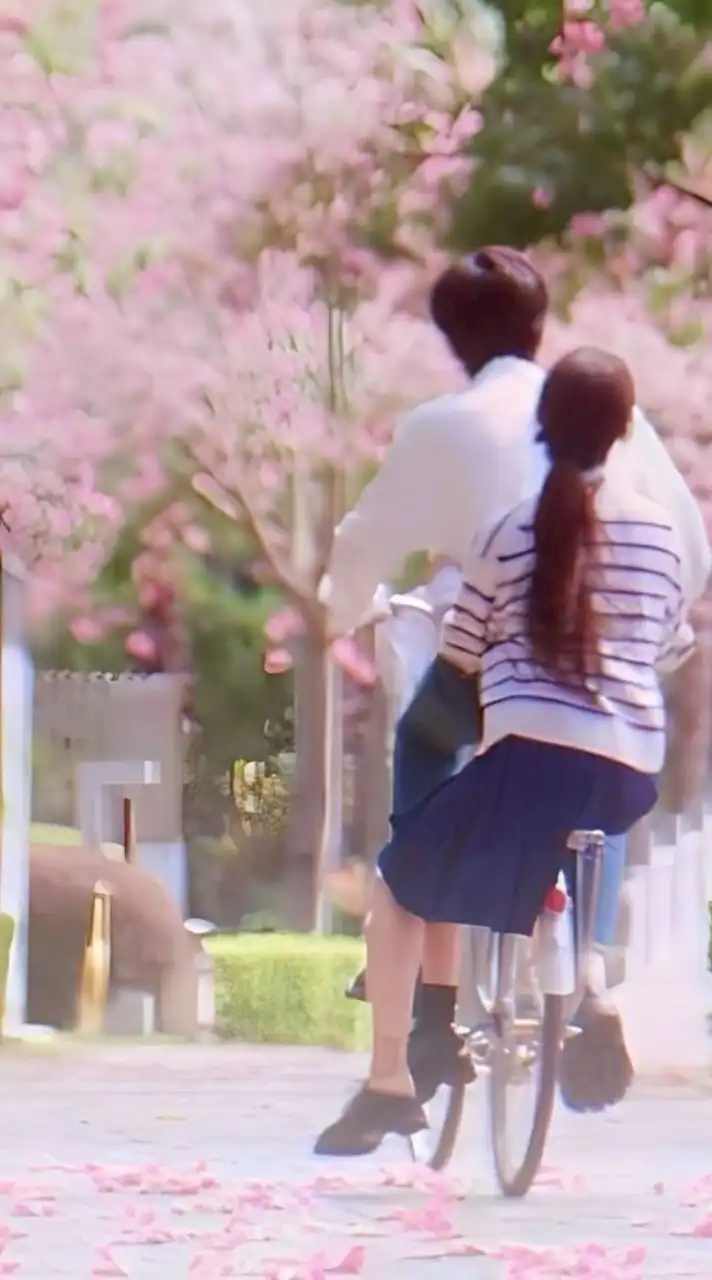 芸能人  ❤︎  也  。