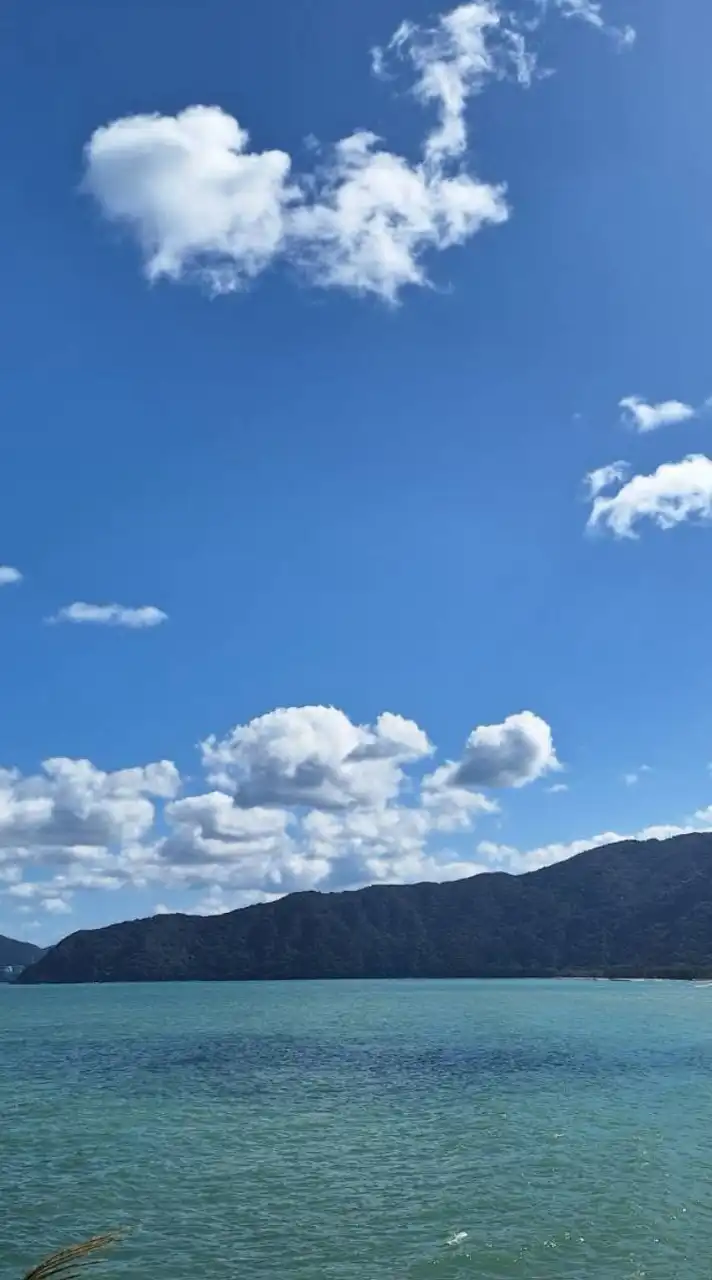 30代～皆でワイワイ🐬ルーム🐬東海地区