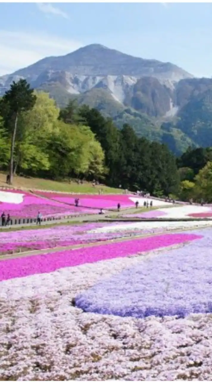 50代からの里山歩き、ゆる山のんびりハイキング