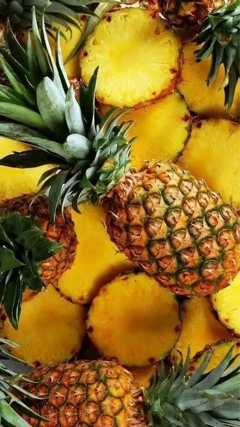 【🍍四国🏠中国🍍】30代40代50代🍍楽しい雑談🍍素敵なオフ会🍍