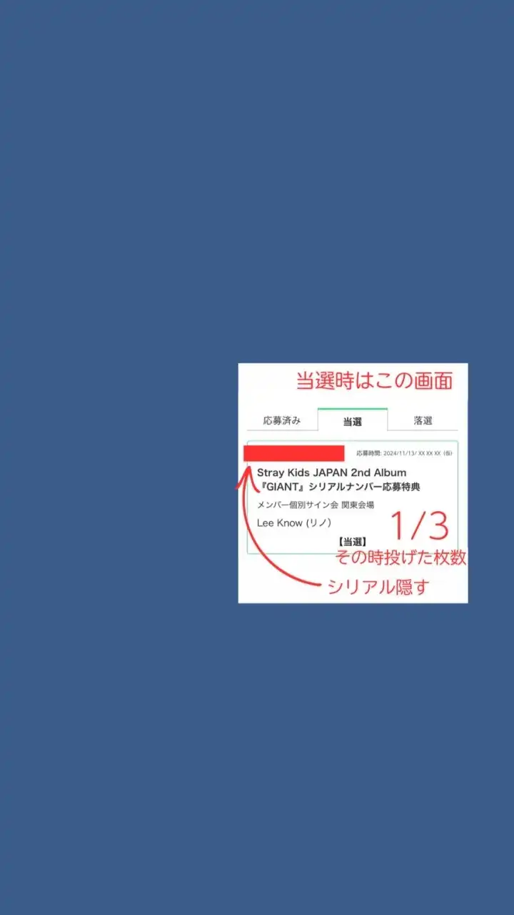 【期間外閉鎖中🙇】当落報告 スキズ 波 シリアル Stray Kids