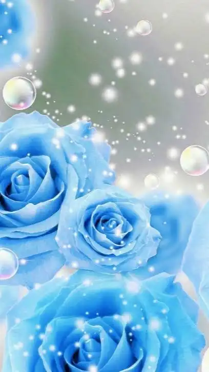 大人の恋バナ、雑談、薔薇🌹
