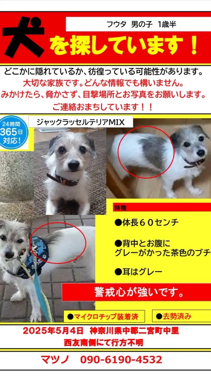 迷い犬フウタ捜索グループ