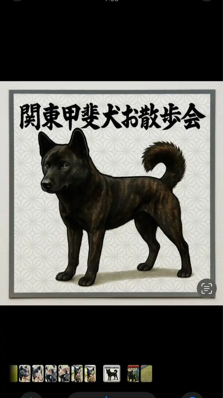 関東甲斐犬お散歩会