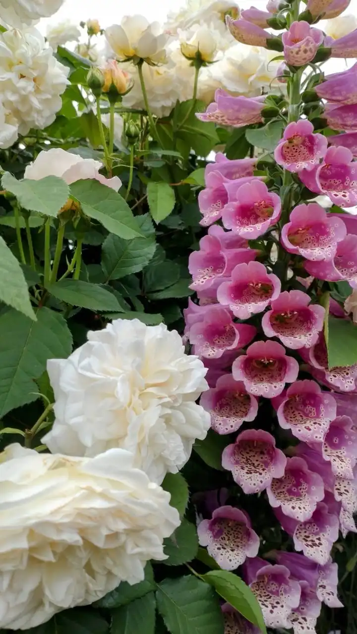 🩵💐介護する方の休憩STATION🌹💜