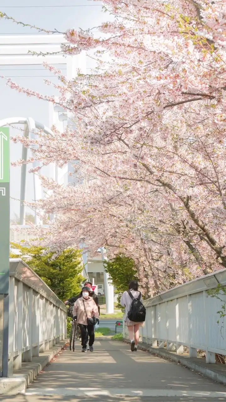 🏠札幌【賃貸】相談所✨