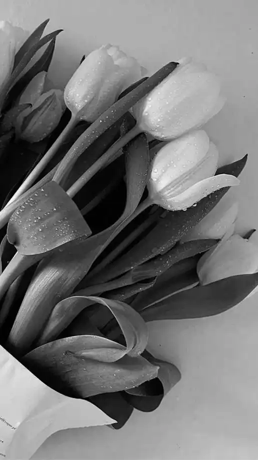 𝒎𝒚 𝒍𝒐𝒗𝒆 芸能人と楽しく恋しよ ？