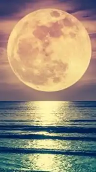 🌕 満月のフォーチュン🌙*·̩͙                50代.60代雑談room 恋バナも🤔？