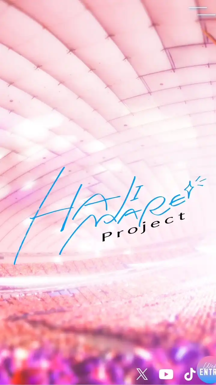 HAJIMARE Project応募する方