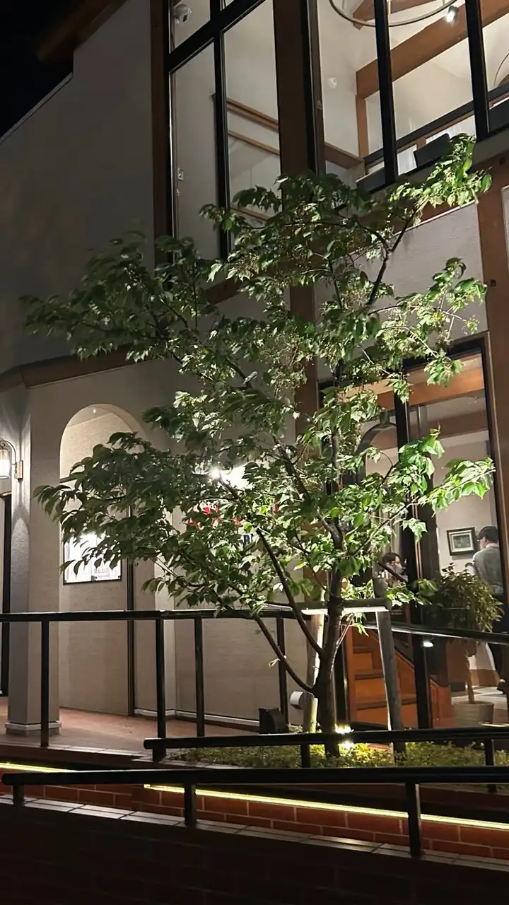 50代60代同世代の友達作り神奈川　　　　　　　　　　　　　　　　　雑談　散策　ランチ部屋
