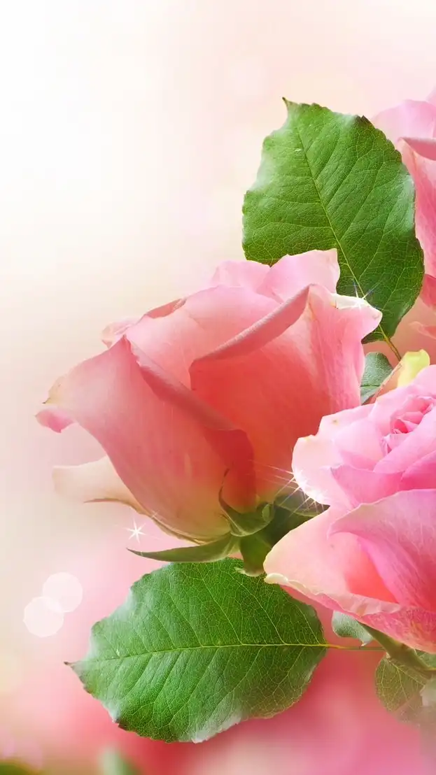 朗読ヒーリング🌹愛(神人さん/大日月地神示/斎藤一人さん/絵本/他)癒しと感謝をお届け致します🌹