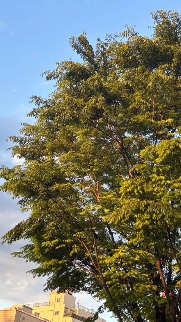 みんなみんな~学生で集まって雑談や歌枠しよ〜！