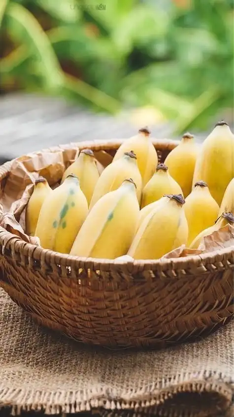 🍌東海🍌中部🍌中京🍌30代 40代 50代🍌ライブトーク🍌楽しい雑談🍌地域交流R∞M🍌