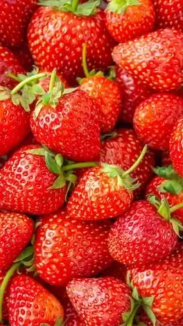🍓一期一会🍓30代40代50代🍓楽しい雑談🍓ライブトーク🍓
