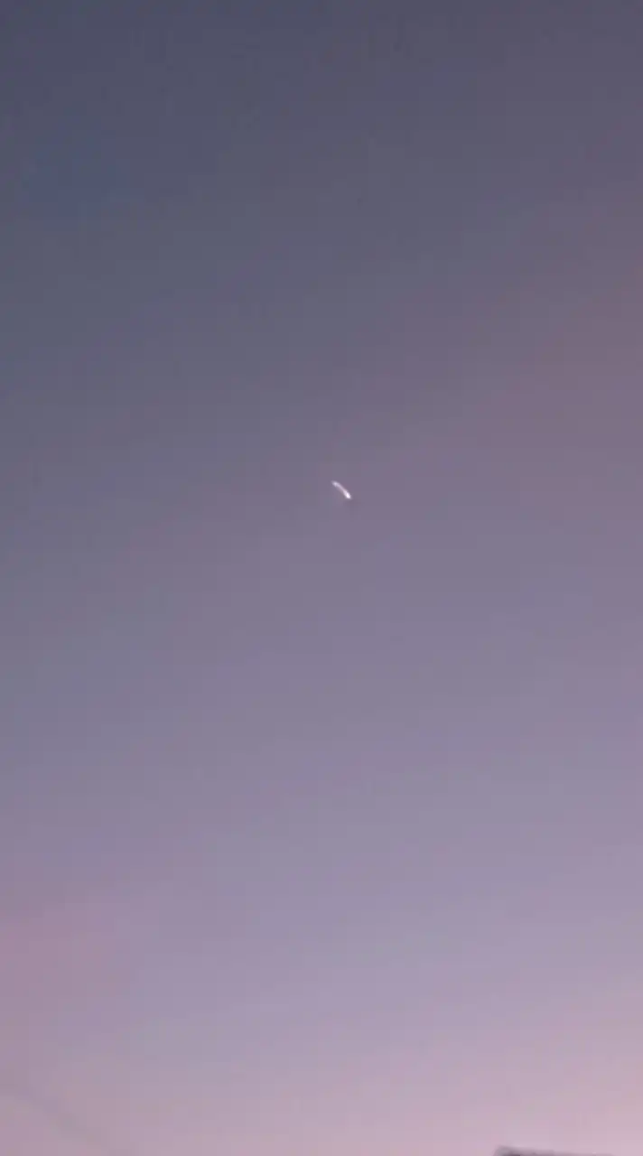 ꒰ঌ同担拒否さま各1໒꒱