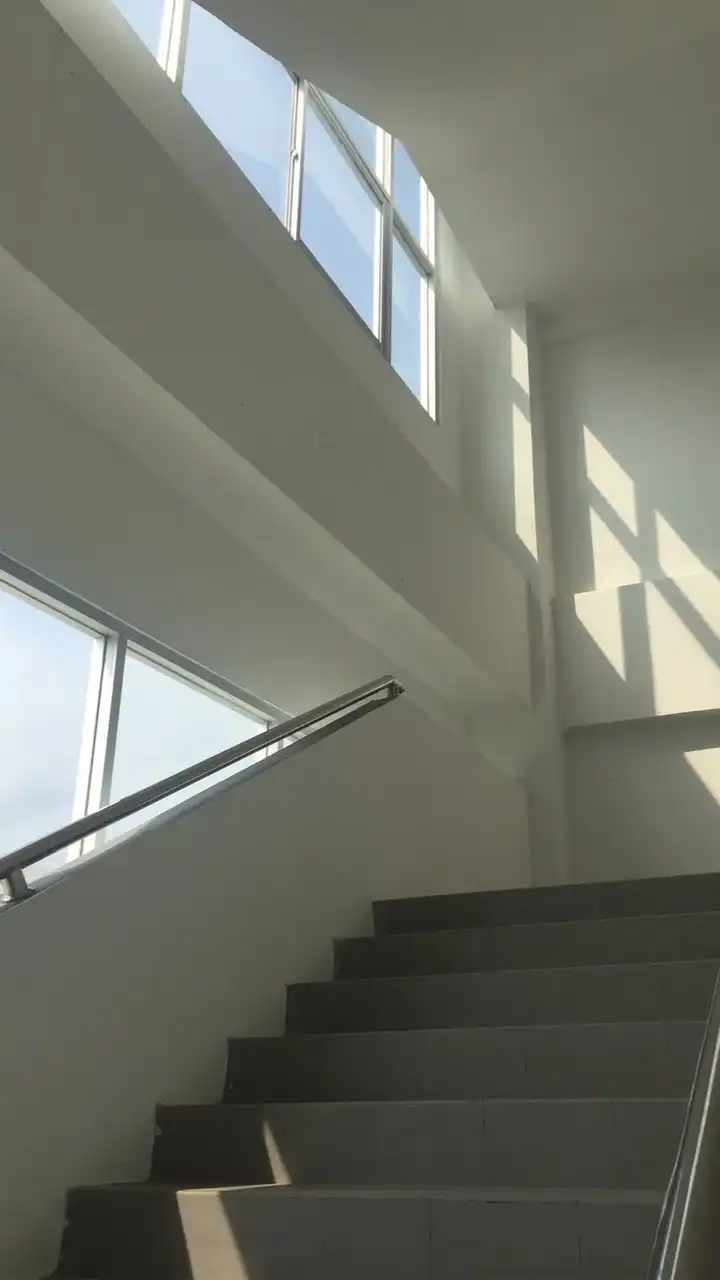 美術館  ／  全夢特殊ハント
