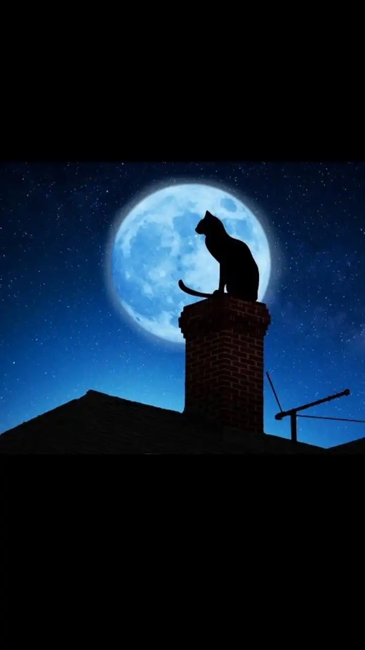 黒猫の館《歌オプ》