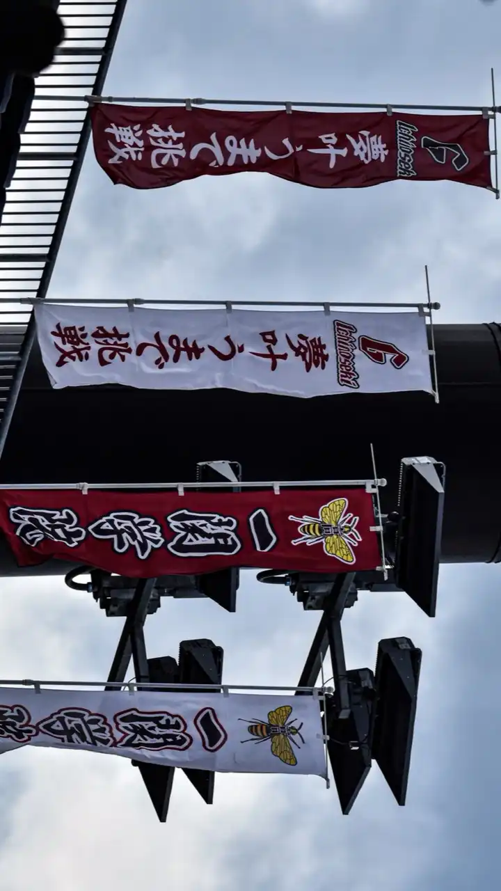 ICHIGAKU_PHOTO🐝⚾️ﾎﾉﾊ