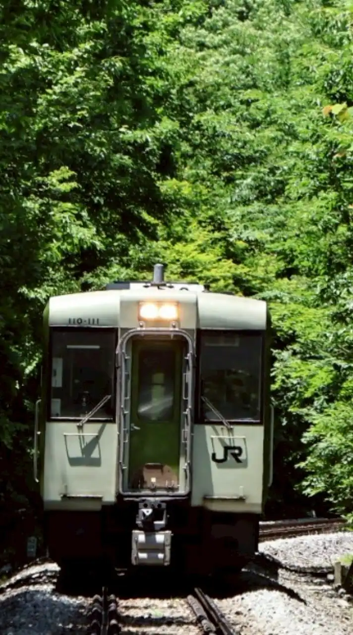 [TimeTreeあり]鉄道雑談・スジ公開(カツスジもあるよ)‼️