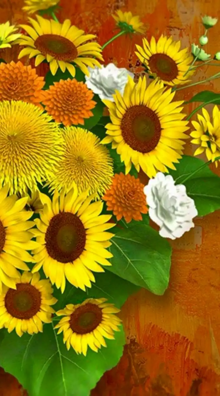 🌈新着🌈新規オープン🌼🌱⋆｡60代70代͛💠還暦🌺✨恋バナ͛💠シニア癒しの空間少人数部屋